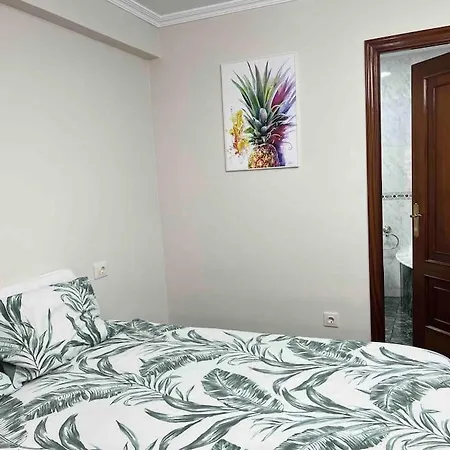 Gran Terraza Muy Centrico Apartment *