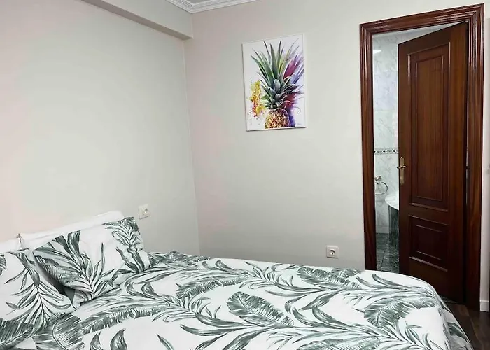 Gran Terraza Muy Centrico Apartment *